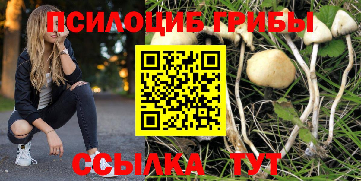 Борисоглебск  Галлюциногенные грибы мухоморы  Вход с VPN 